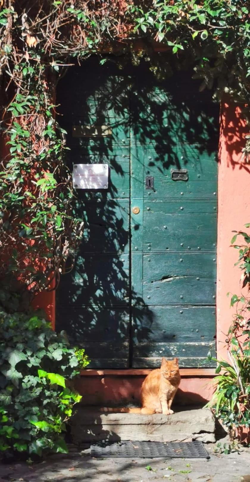 Apartments Campo De Fiori روما المظهر الخارجي الصورة
